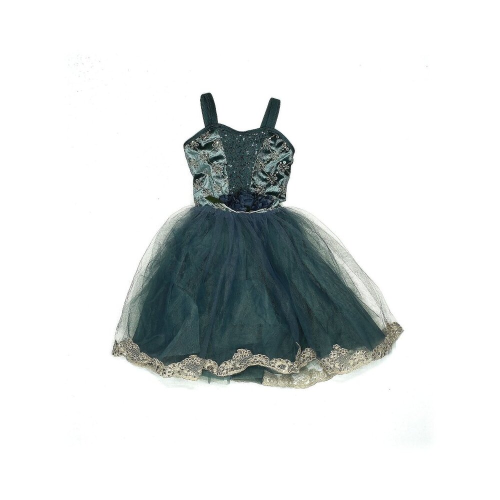 Weissman Til There Was You 15630 Velvet Degas Dance TuTu Dress Costume Size SC